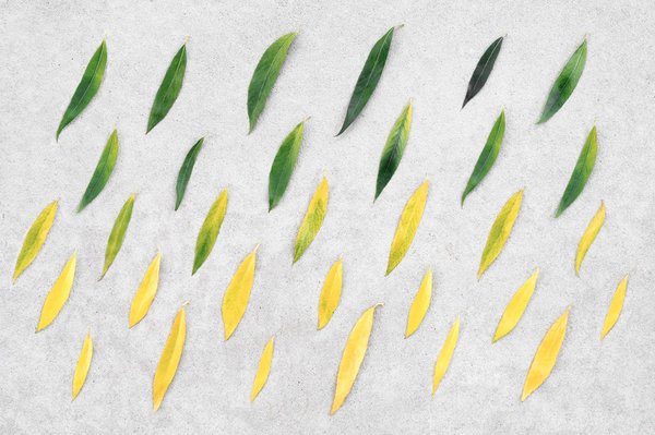 Les formalités à accomplir pour changer de statut juridique d'entreprise